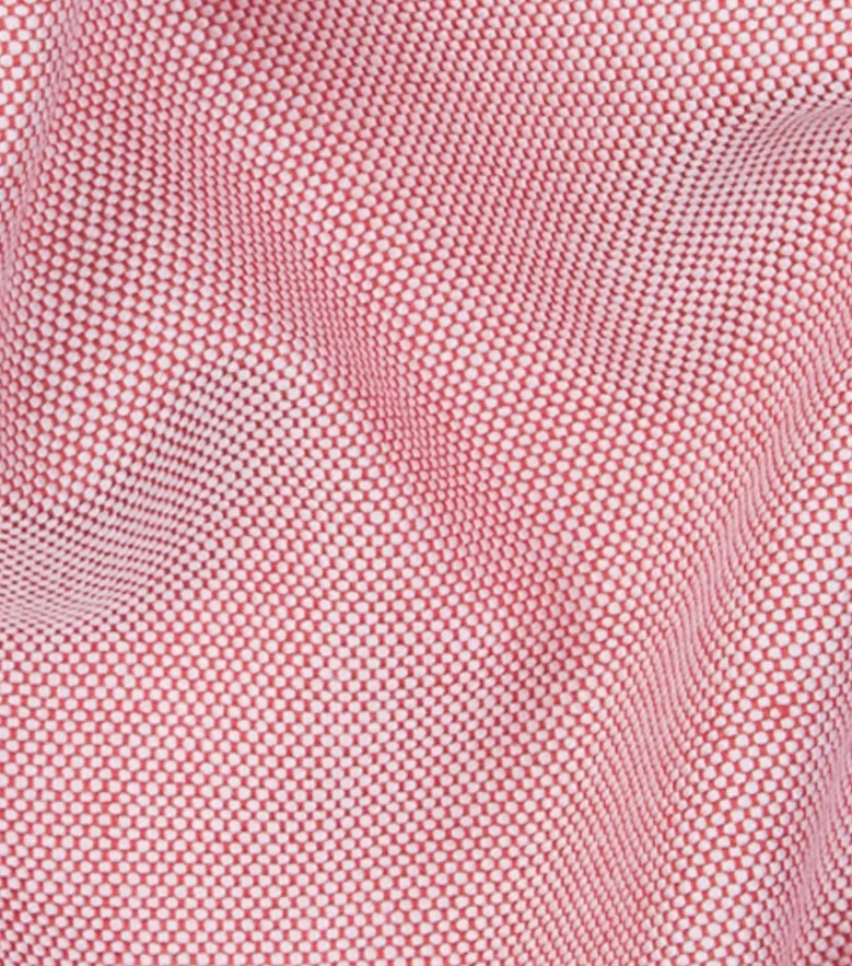 Thomas Mason Wrinkle-Free Shirt