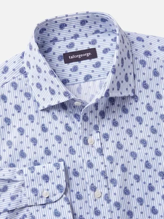 Blue printed poplin shirt